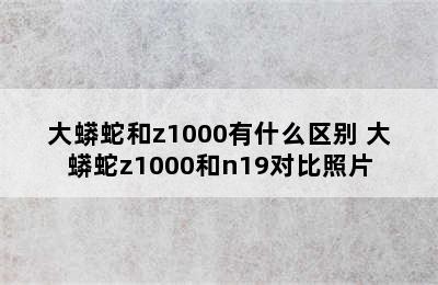 大蟒蛇和z1000有什么区别 大蟒蛇z1000和n19对比照片